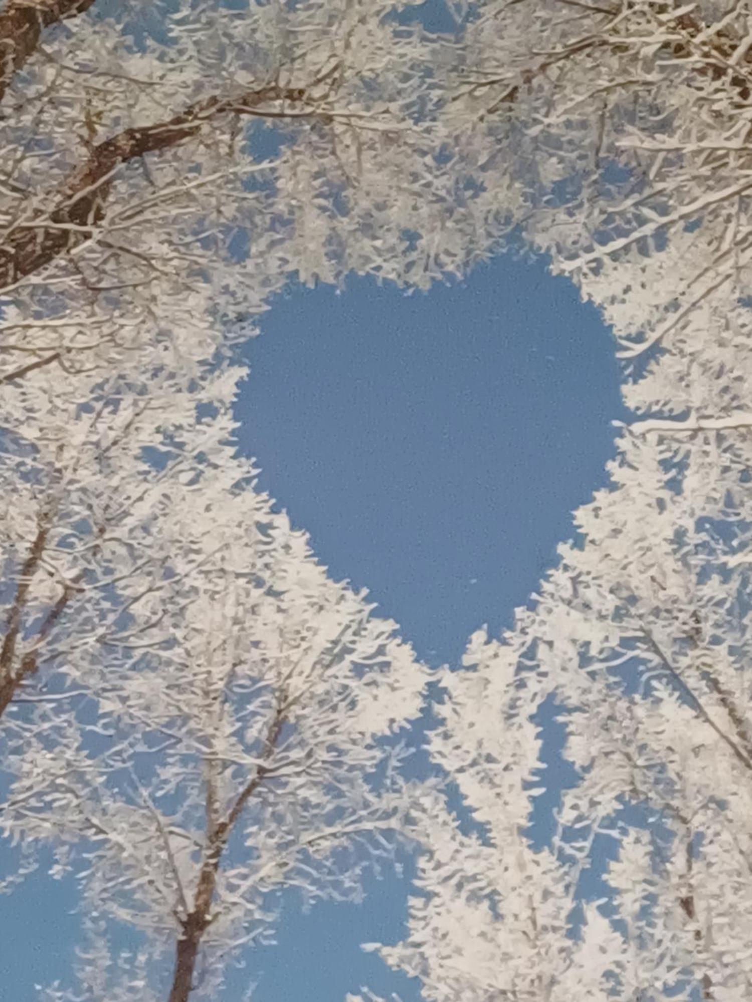 Rafina'S Blue Heart! Lägenhet Exteriör bild